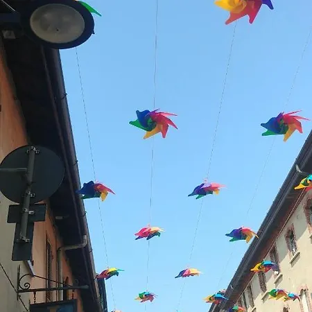 Daire La Fenice